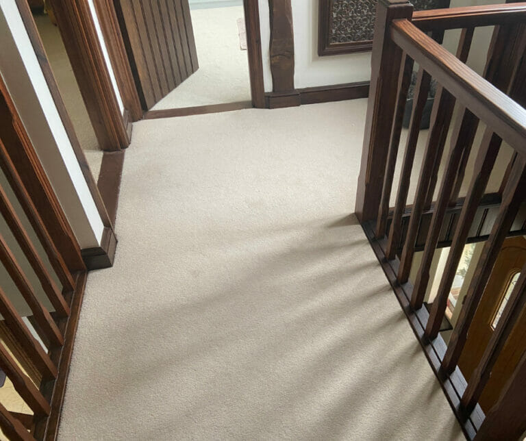 Wood floor versus carpet what’s best for you!